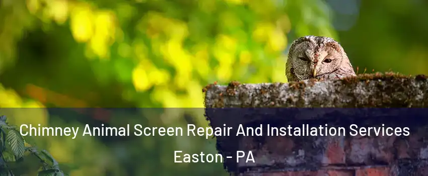  Chimney Animal Screen Repair And Installation Services Easton - PA