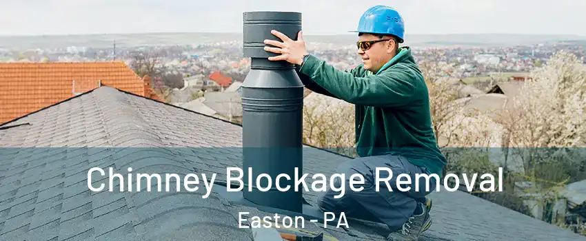  Chimney Blockage Removal Easton - PA