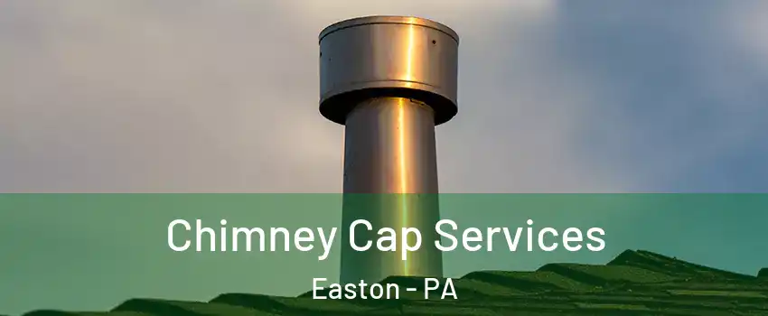  Chimney Cap Services Easton - PA