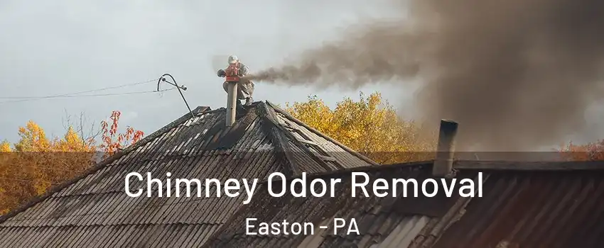  Chimney Odor Removal Easton - PA