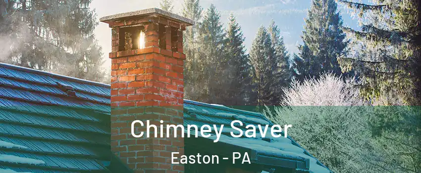  Chimney Saver Easton - PA