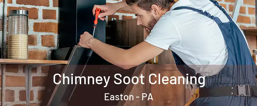  Chimney Soot Cleaning Easton - PA