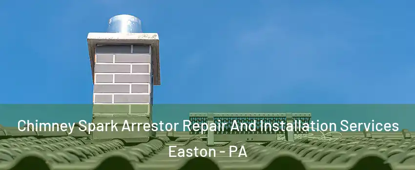  Chimney Spark Arrestor Repair And Installation Services Easton - PA