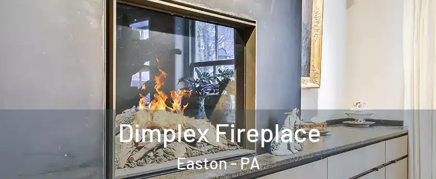  Dimplex Fireplace Easton - PA