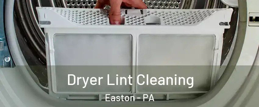  Dryer Lint Cleaning Easton - PA