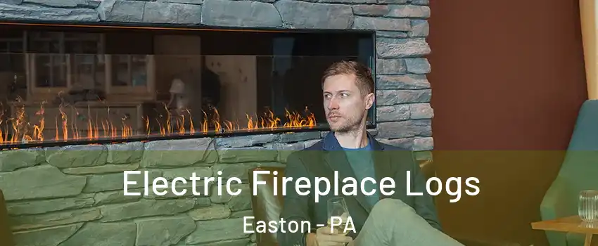  Electric Fireplace Logs Easton - PA