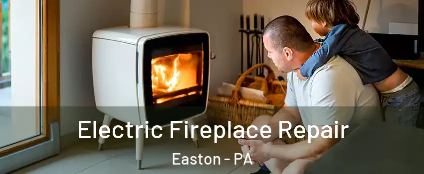  Electric Fireplace Repair Easton - PA