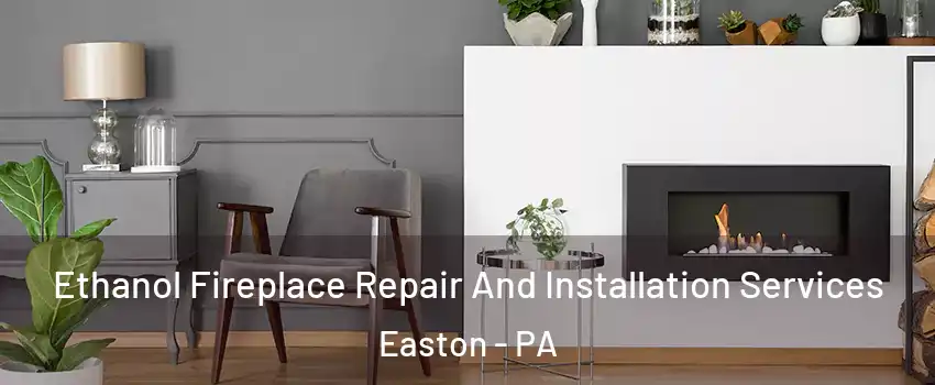  Ethanol Fireplace Repair And Installation Services Easton - PA
