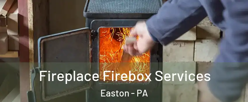  Fireplace Firebox Services Easton - PA