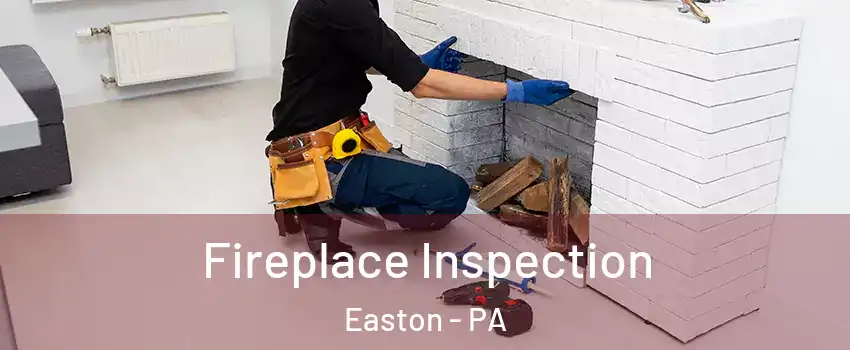  Fireplace Inspection Easton - PA