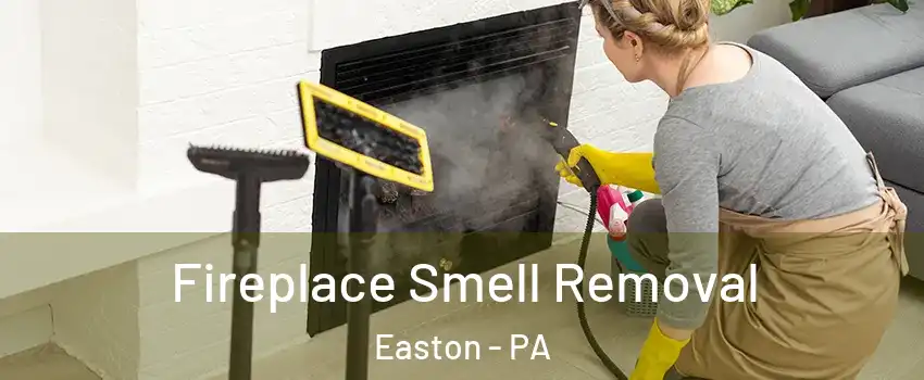  Fireplace Smell Removal Easton - PA