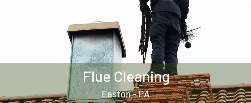 Flue Cleaning Easton - PA