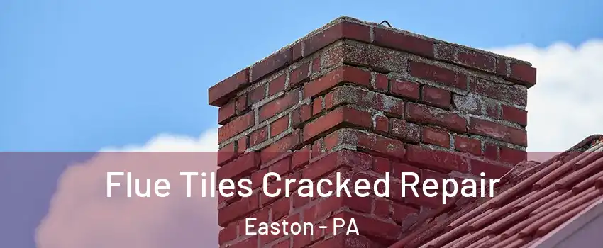  Flue Tiles Cracked Repair Easton - PA