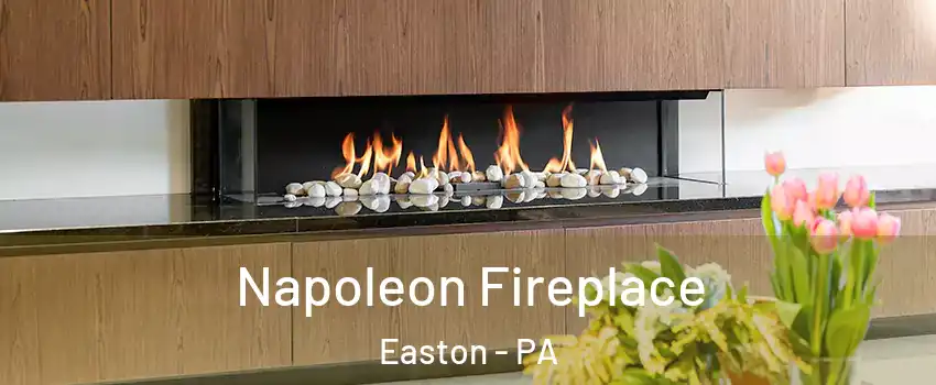  Napoleon Fireplace Easton - PA