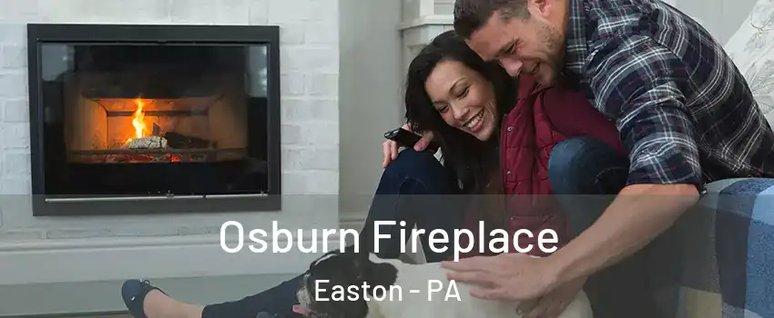  Osburn Fireplace Easton - PA